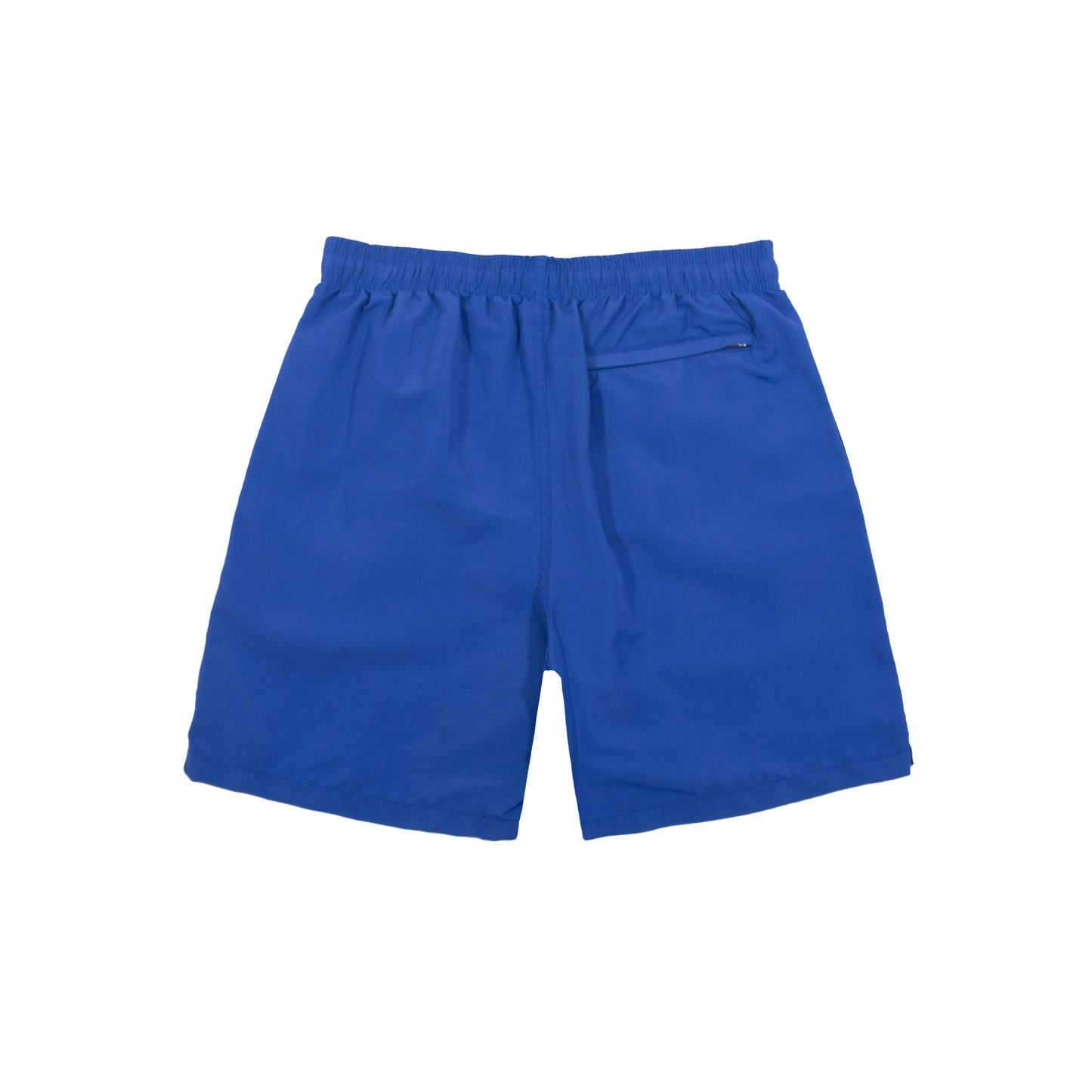 Stüssy Sport Water Short - Blue