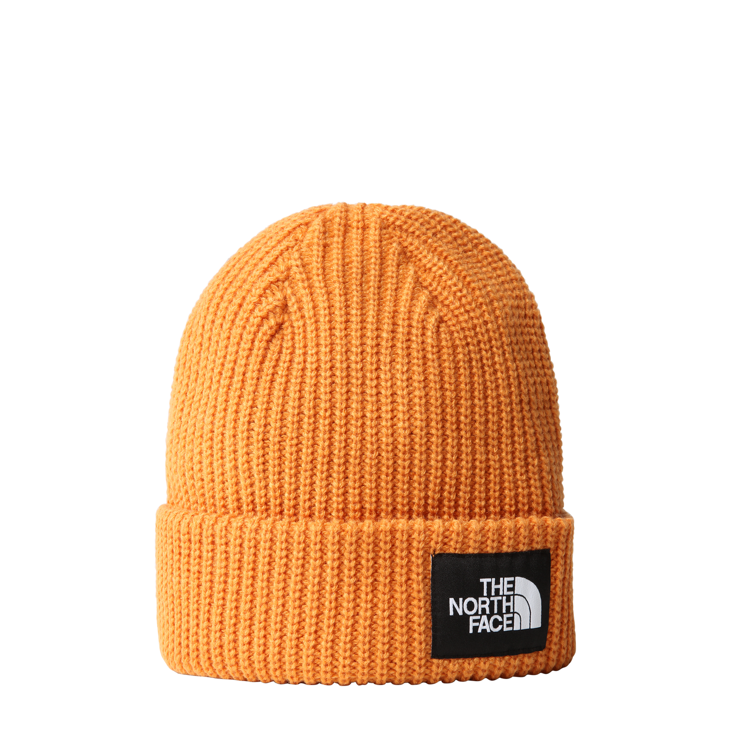 The North Face Salty Dog Beanie - Topaz