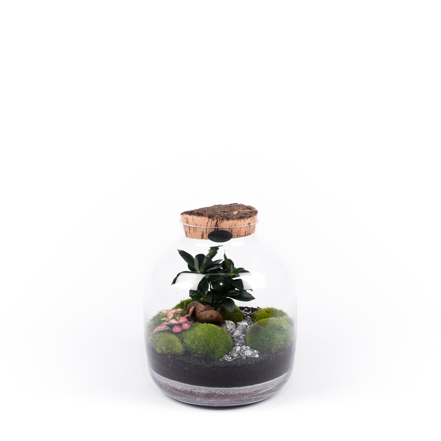 Niwa Design Roots Terrarium - Glass