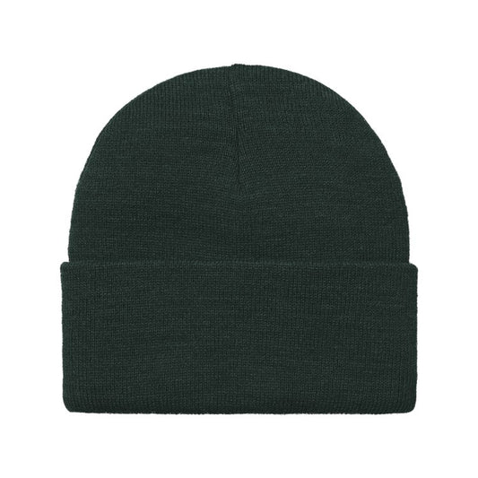 Carhartt WIP American Script Beanie - Dark Fir