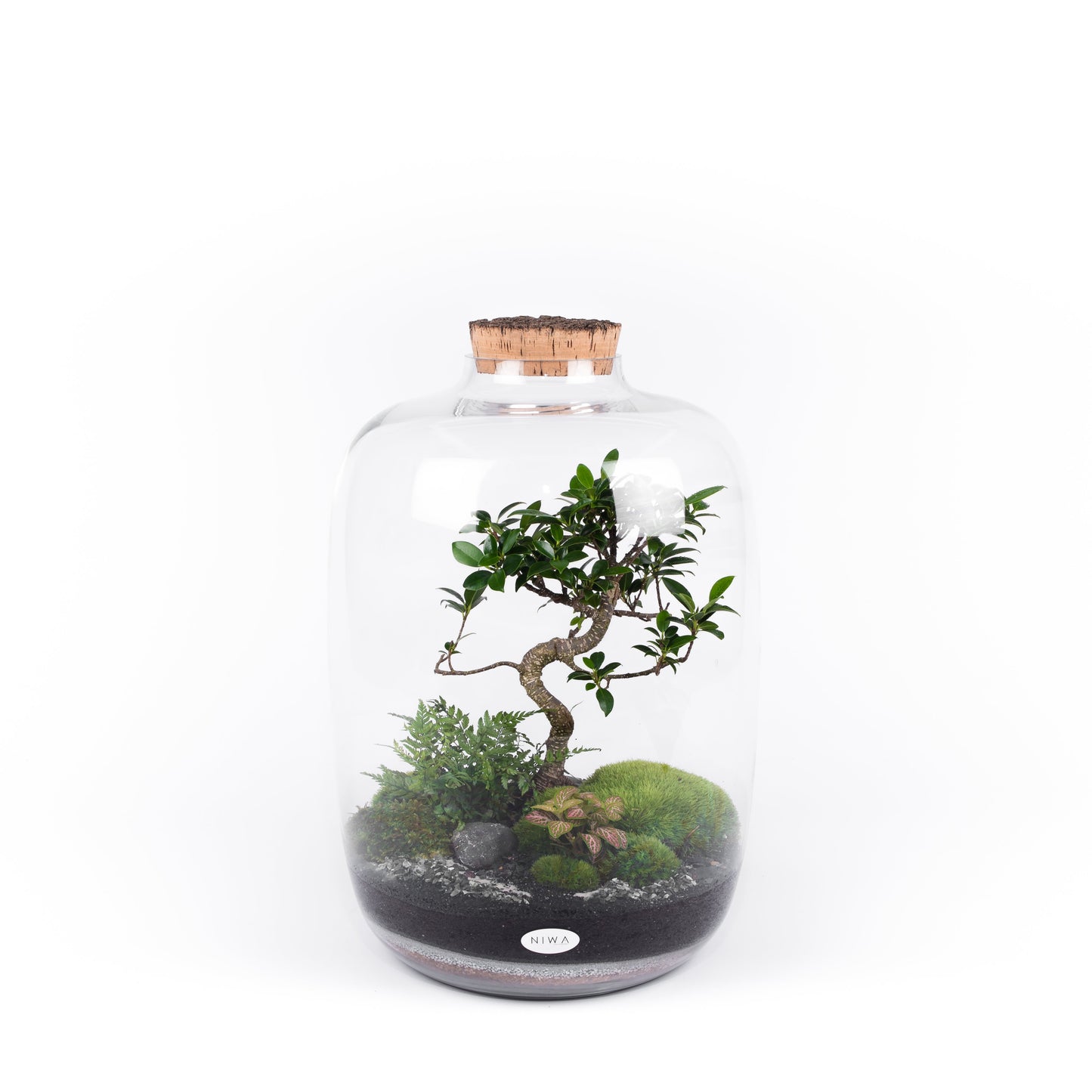 Niwa Design Chiara Terrarium - Glass