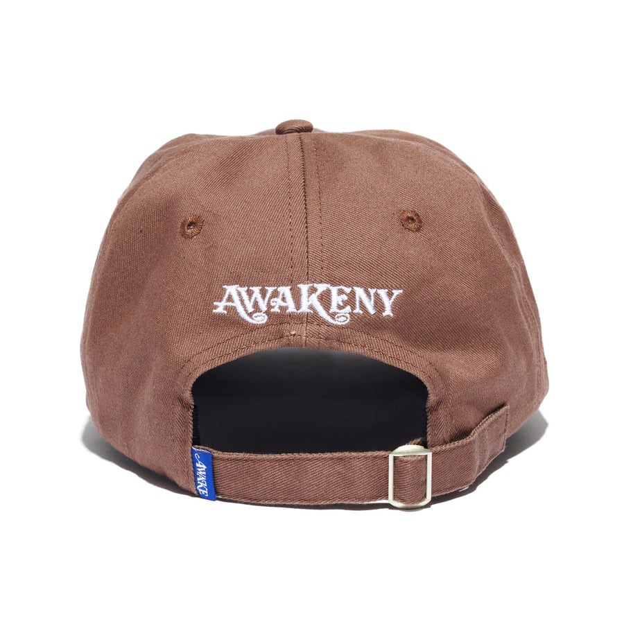 Awake NY Embroidered Mind Body Spirit 5 Panel Hat - Sienna