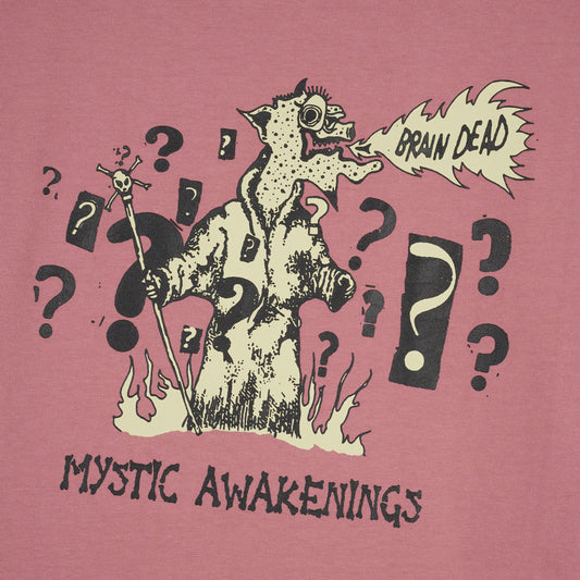 Brain Dead Mystic Awakenings Tee - Rose Taupe