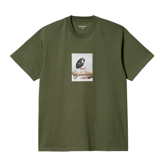 Carhartt WIP Antleaf T-Shirt - Dollar Green