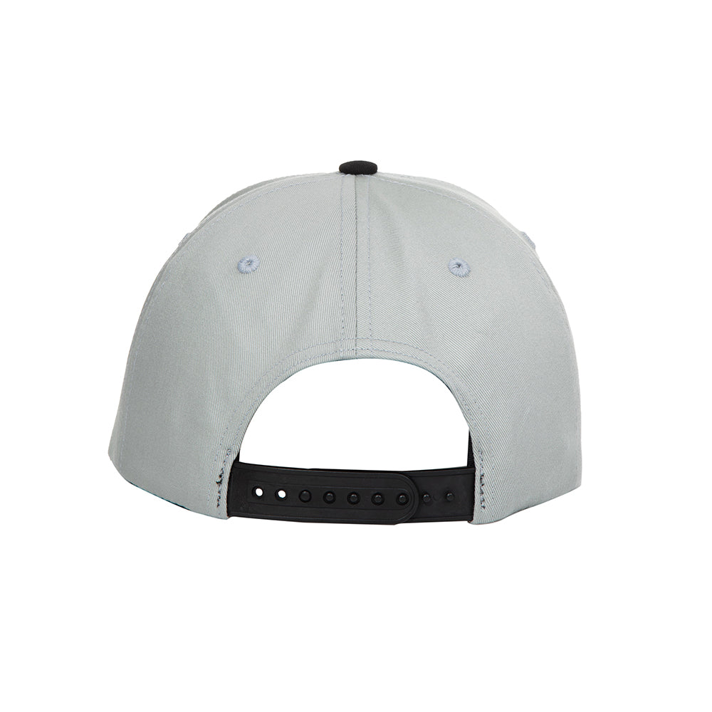 Tired Stamp 2 Tone 6 Panel Cap - Ash