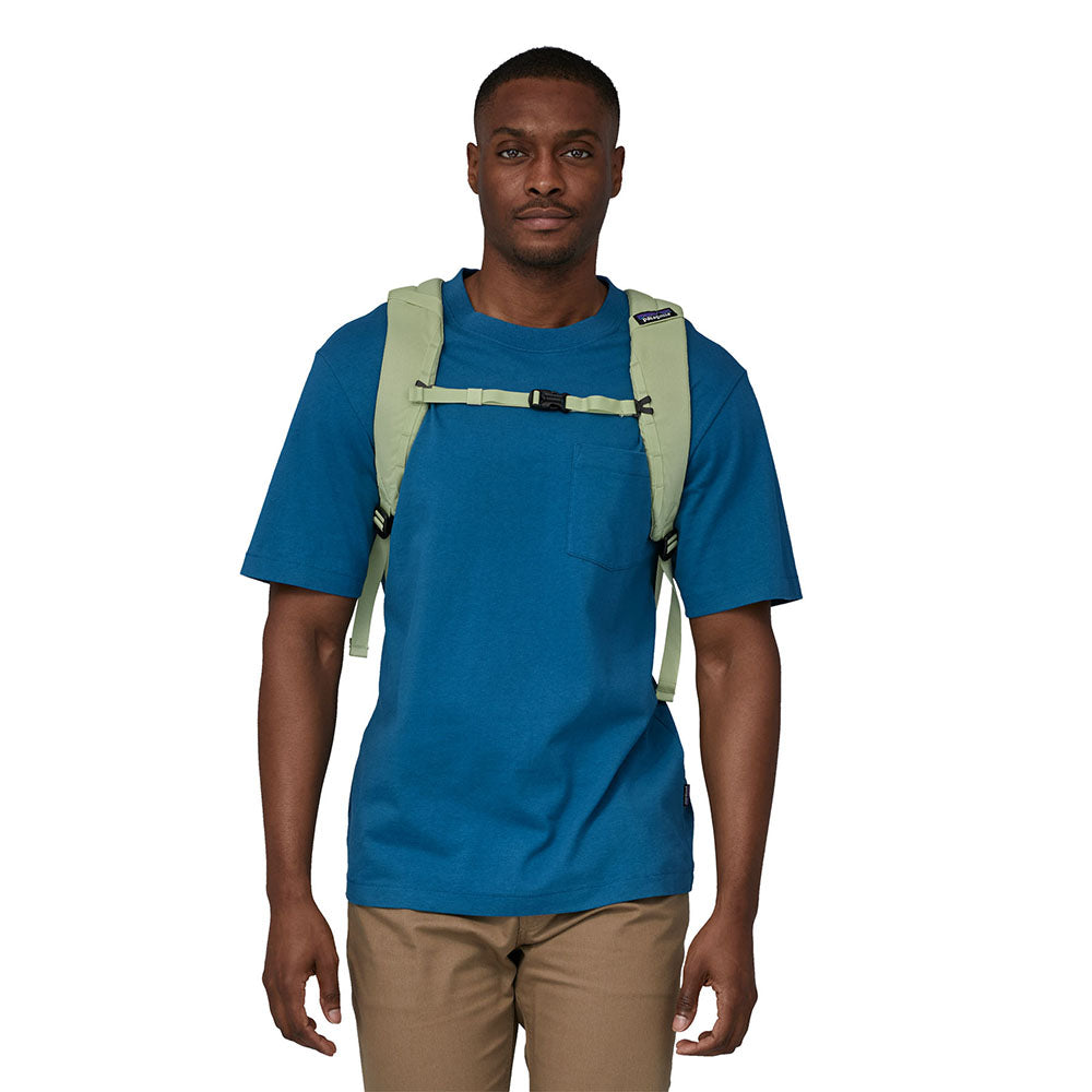 Patagonia Black Hole Backpack 25L - Friend Green