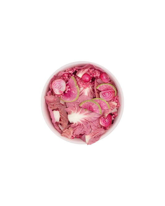 W&P Porter Plastic Portable Lunch Bowl