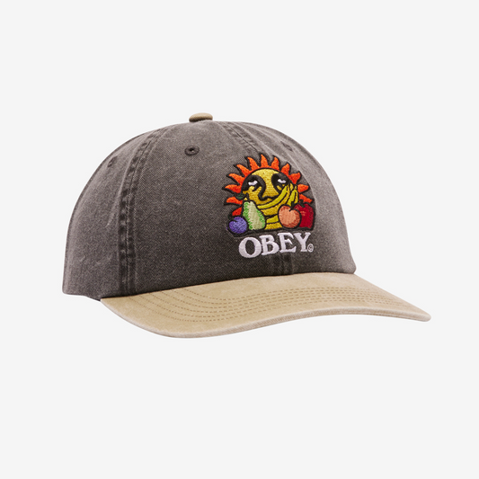 OBEY Pigment Fruits 6P Snapback