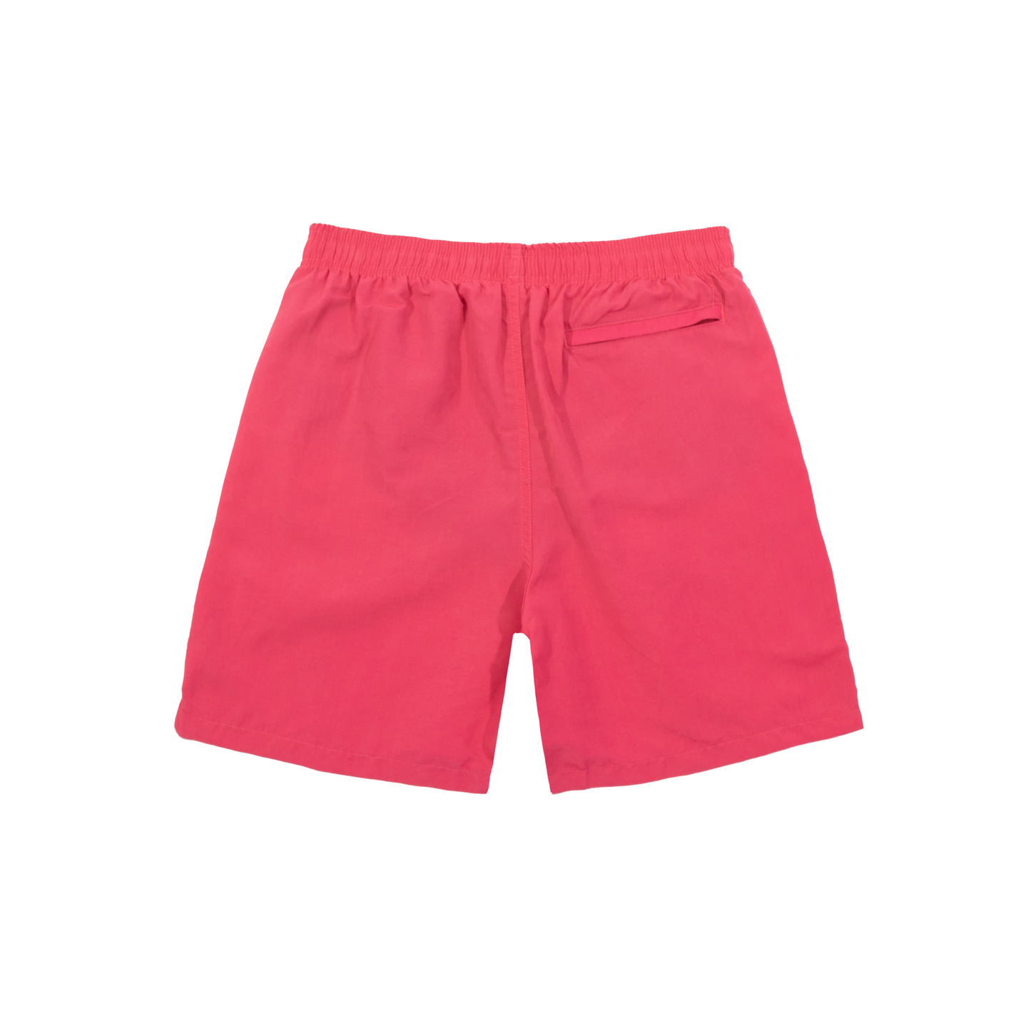 Stüssy Sport Water Short - Pink