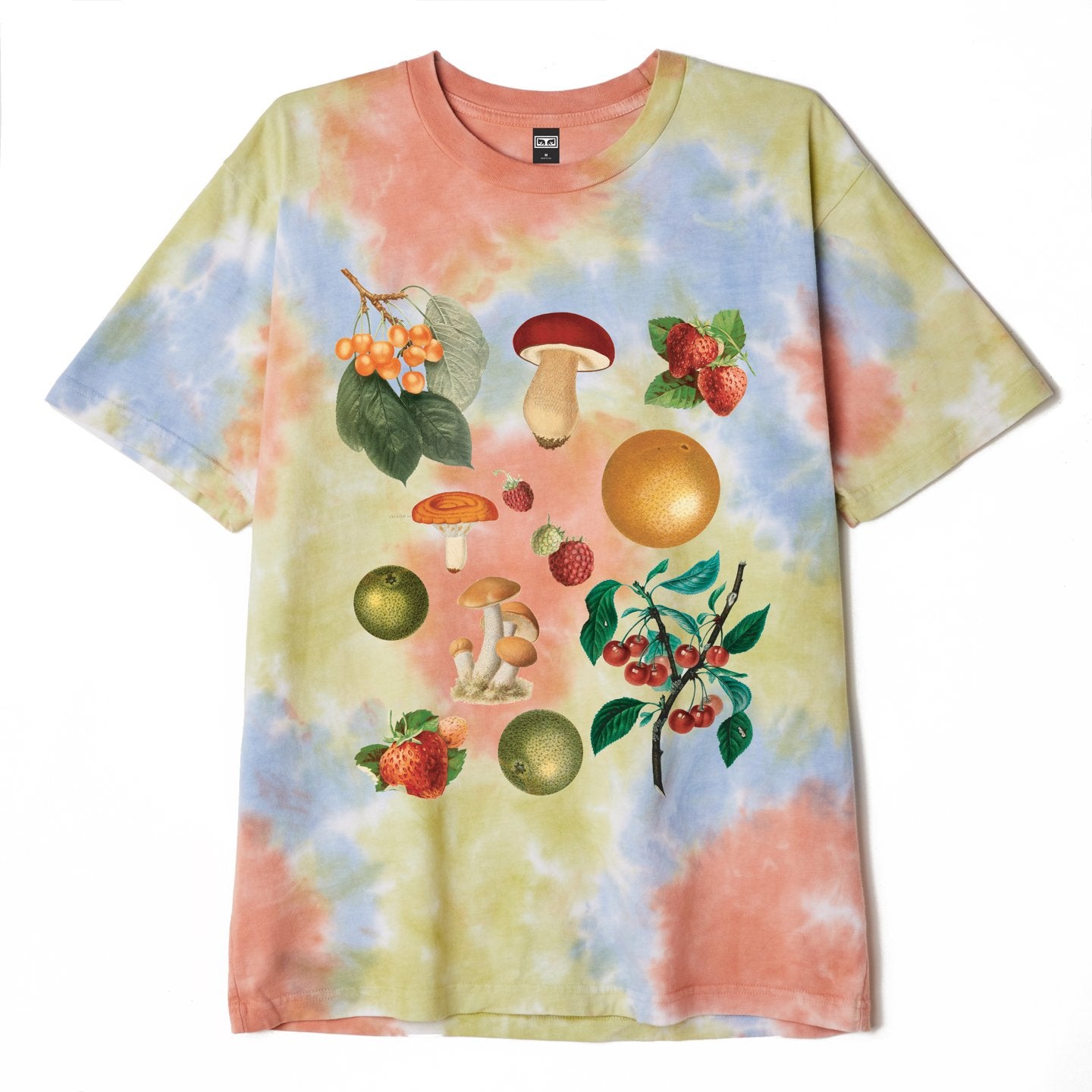 OBEY Fruits & Mushrooms Tie Dye T-Shirt - Humus Blotch