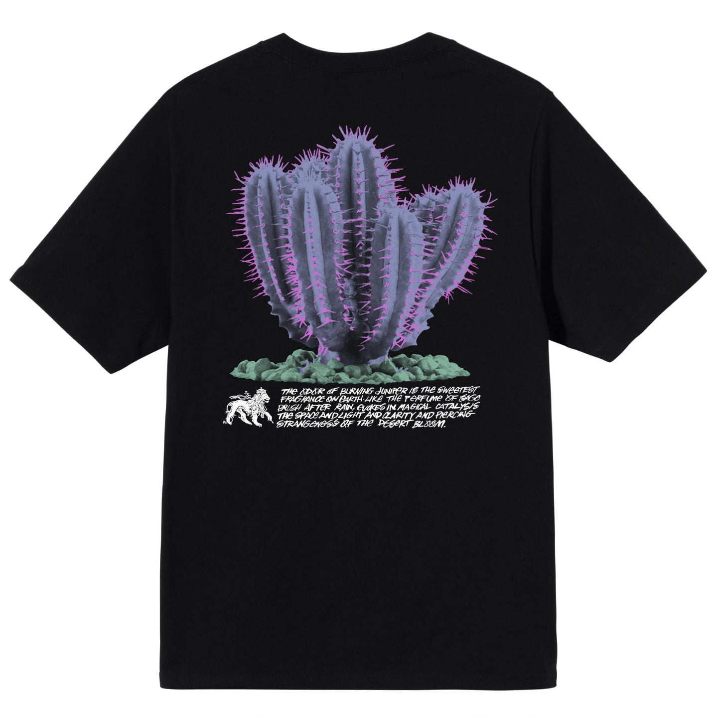 Stüssy Desert Bloom T-Shirt - Black