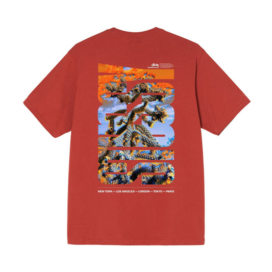 Stüssy Desert Sky T-Shirt - Brick