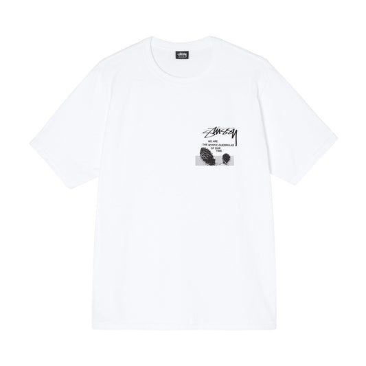 Stüssy Desert Sky T-Shirt - Brick