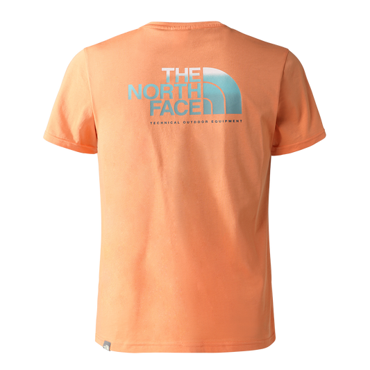 The North Face D2 Graphics T-Shirt