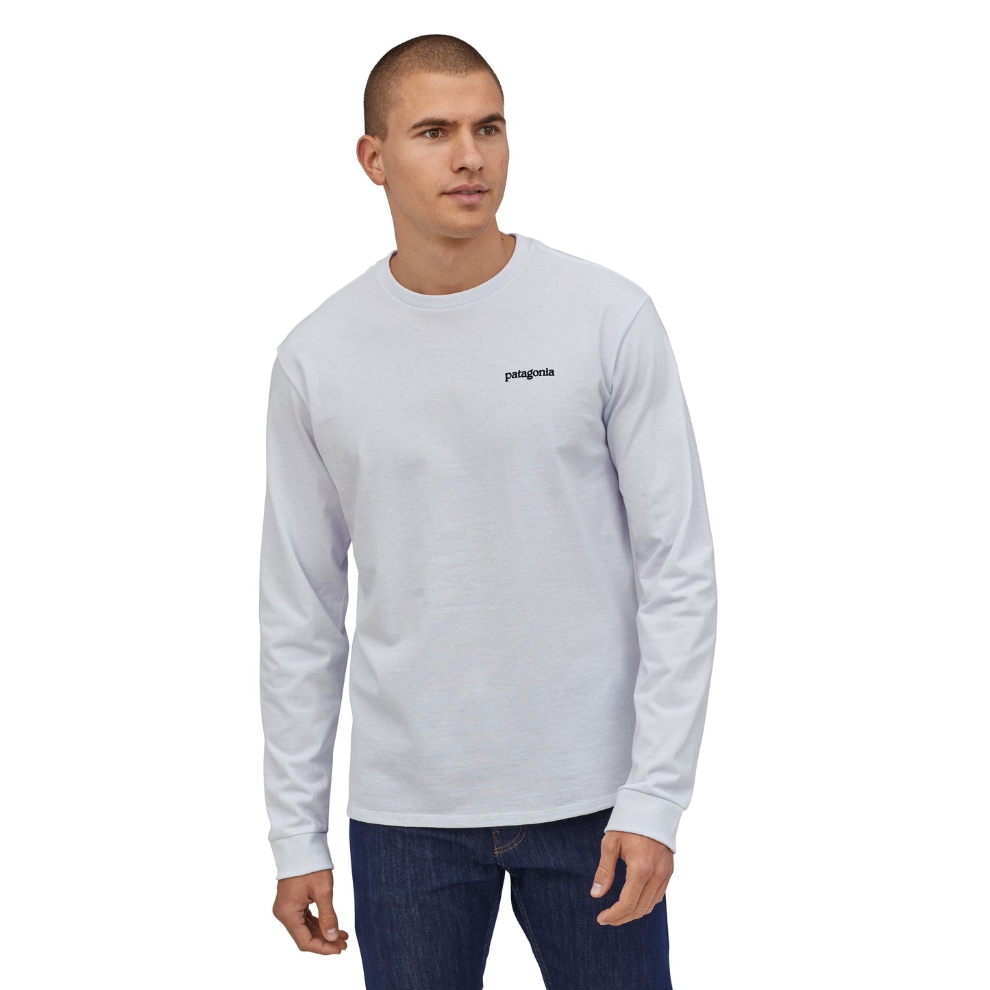 Patagonia LS Fitz Roy Horizons Responsibili-Tee - Gravel Heather