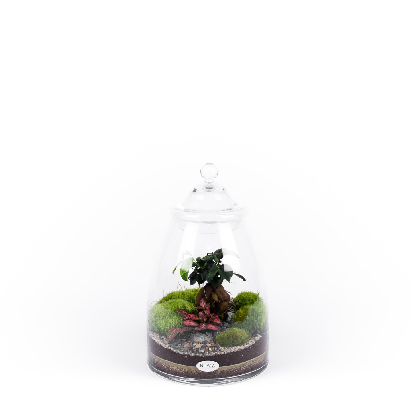 Niwa Design Little Dream Terrarium - Glass