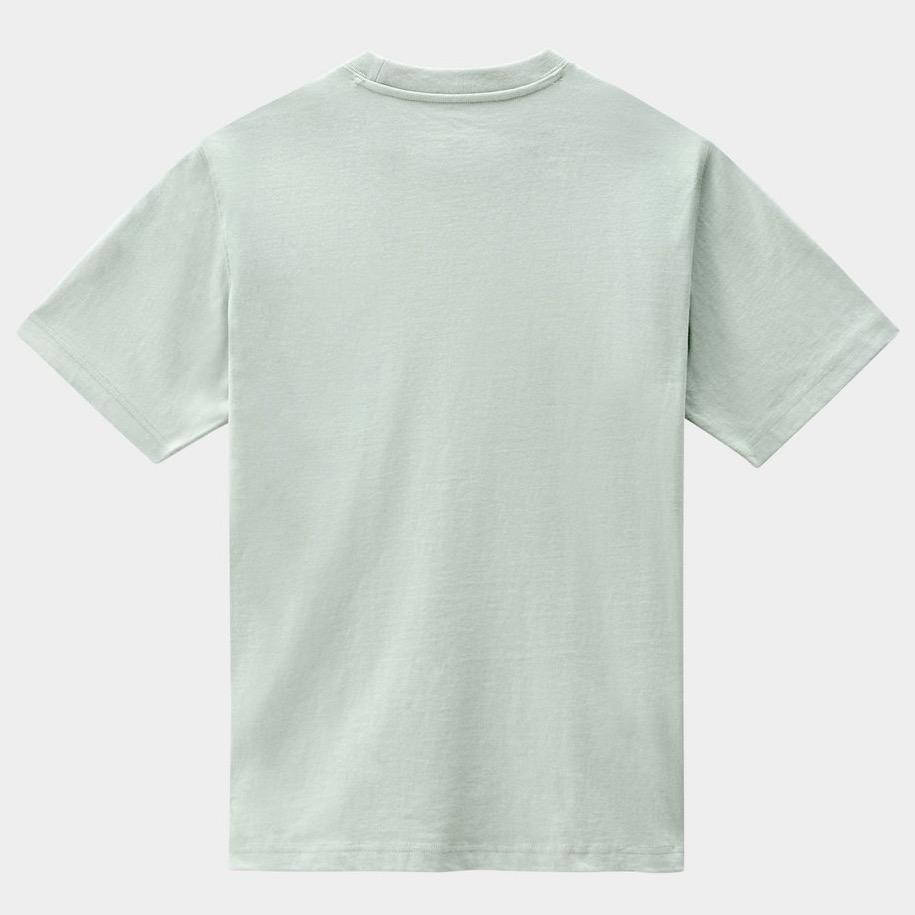 Dickies Porterdale T-Shirt - Jadeite