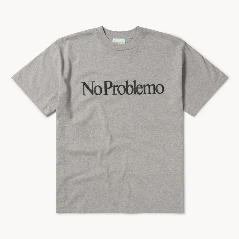 Aries Arise No Problemo T-Shirt - Grey Marl