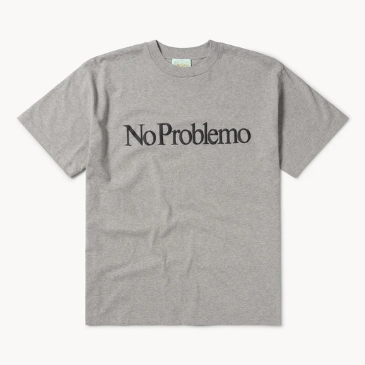 Aries Arise No Problemo T-Shirt - Grey Marl