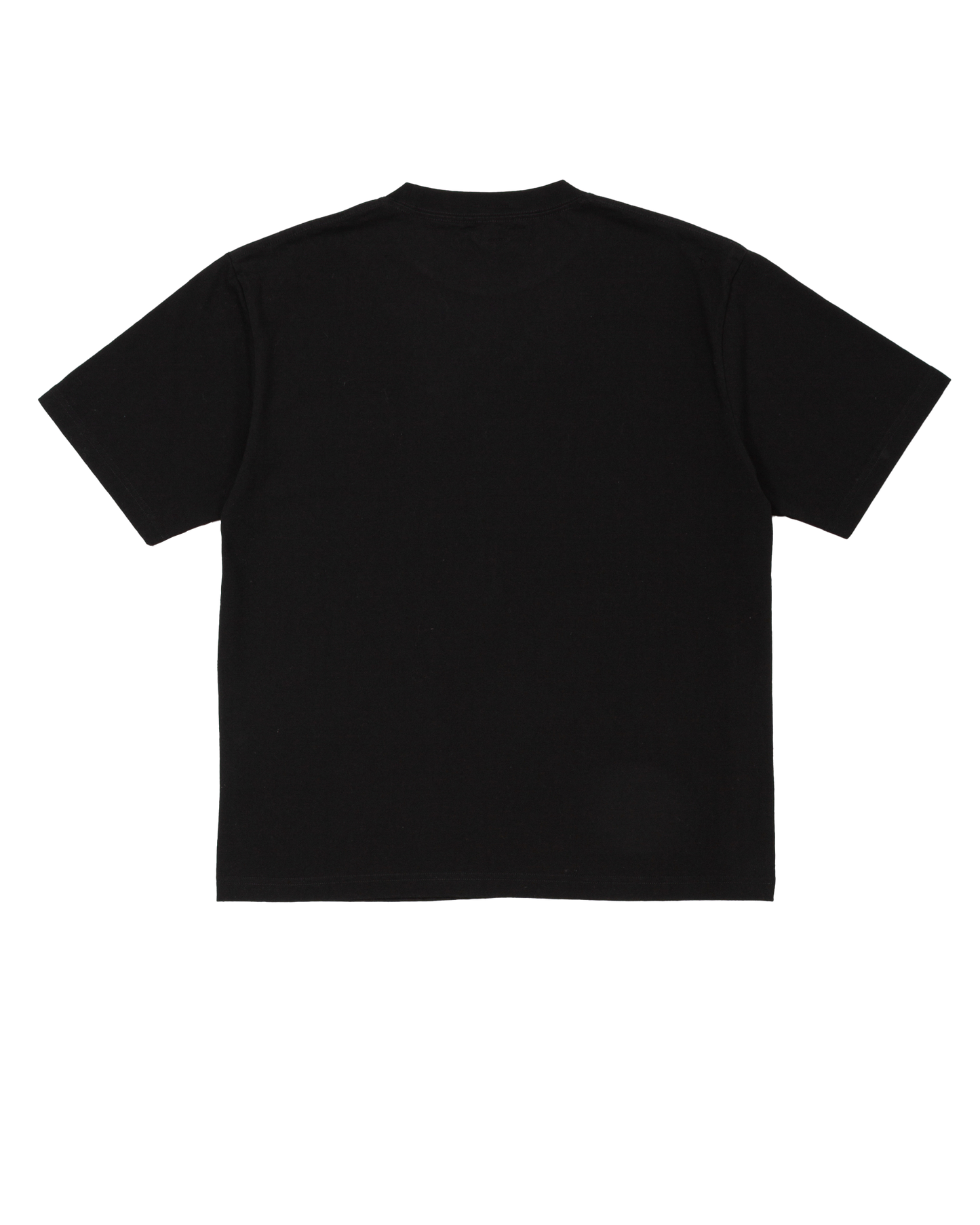 HERESY Naturist Tee - Black