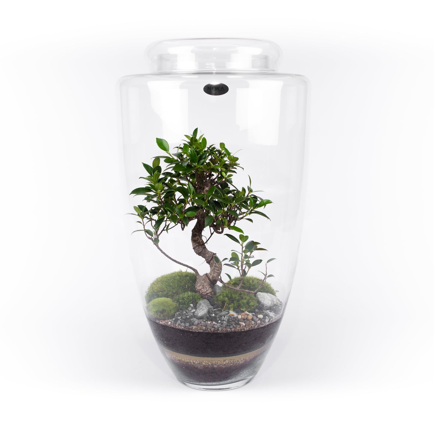 Niwa Design Manhattan Terrarium - Glass