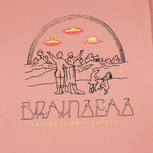 Brain Dead Pastoral Encounters T-Shirt - Rose