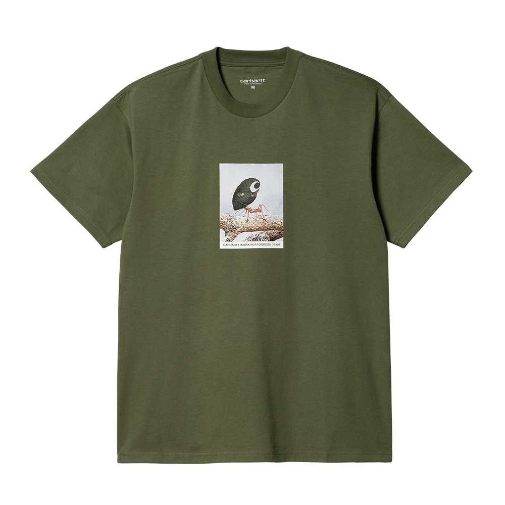 Carhartt WIP Antleaf T-Shirt - Dollar Green