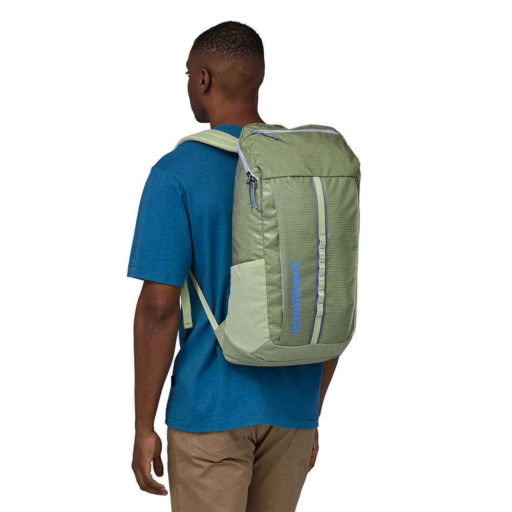 Patagonia Black Hole Backpack 25L